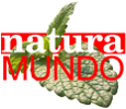 Logo naturaMUNDO